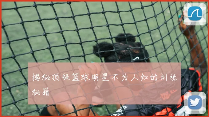 揭秘顶级篮球明星不为人知的训练秘籍