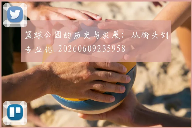 篮球公园的历史与发展：从街头到专业化_20260609235958